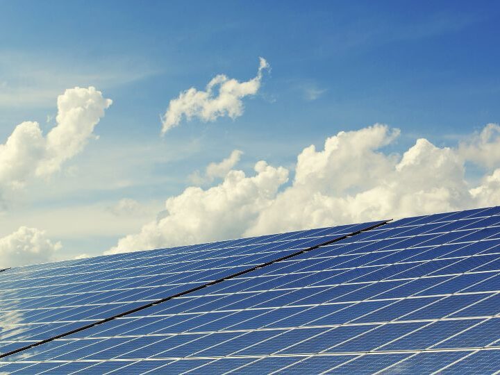 Danone România a investit 1 milion de euro într-un proiect de energie solară